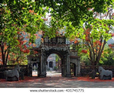 Ninh Binh, Vietnam, July 5, 2015 the ancient temple, Thai Vi Temple called, Ninh Binh, Vietnam, in the summer, many blooming flowers phoenix