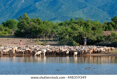 Ninh Thuan, Vietnam, June 23, 2016 Farmers, rural provinces of Ninh Thuan, Vietnam, raising goats
