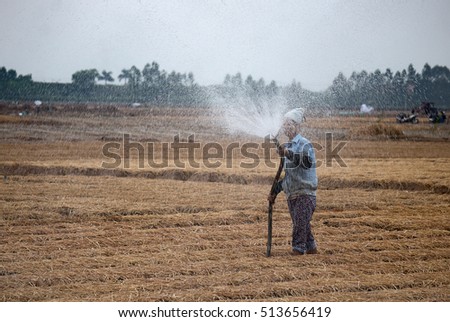 HAI DUONG, Vietnam, September 20, 2016 farmers, rural Hai Duong, planting carrots