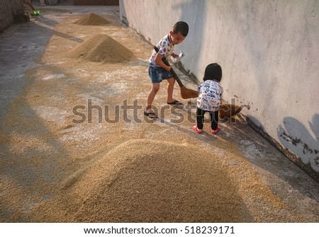 HAI DUONG, Vietnam, November 19, 2016 Children, rural Hai Duong, Vietnam, dried rice. Looking cute