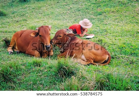 HAI DUONG, Vietnam, November 12, 2016 boys, rural Hai Duong, Vietnam, reading stories, jobs grazing cows
