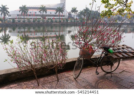 HAI DUONG, Vietnam, December 30, 2106 bicycles, people in rural areas Gia Loc, Hai Duong province, selling peach blossom, on the occasion of the spring sale