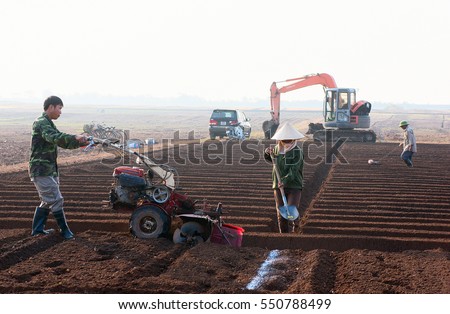 HAI DUONG, Vietnam, September 20, 2016 farmers groups, rural Hai Duong, planting carrots