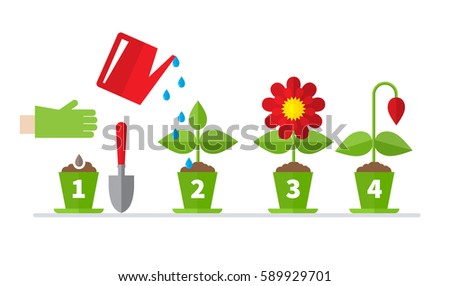 Flower Growing Stock Images, Royalty-Free Images & Vectors | Shutterstock