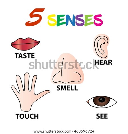 5 Senses Stock Vector (Royalty Free) 468596924 - Shutterstock