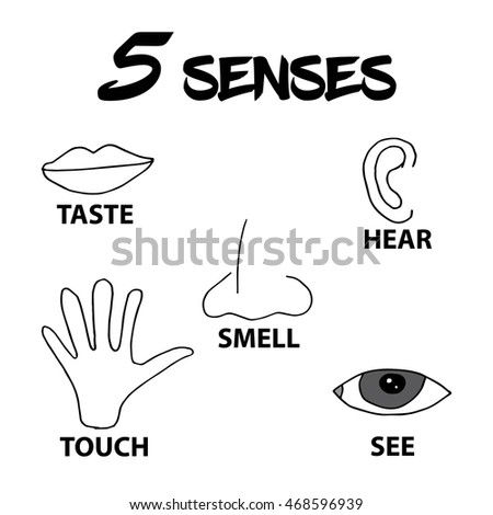 Five Senses Complex Line Icons Mind Stock Vector 630668258 - Shutterstock