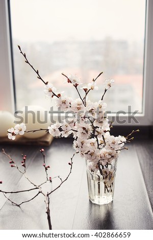 Beautiful Cherry or apricot blossom branches in a glass vase on wooden floor near window. Place for text.