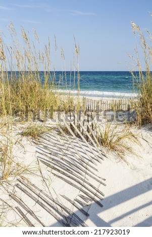 Sea-oats Stock Photos, Royalty-Free Images & Vectors - Shutterstock