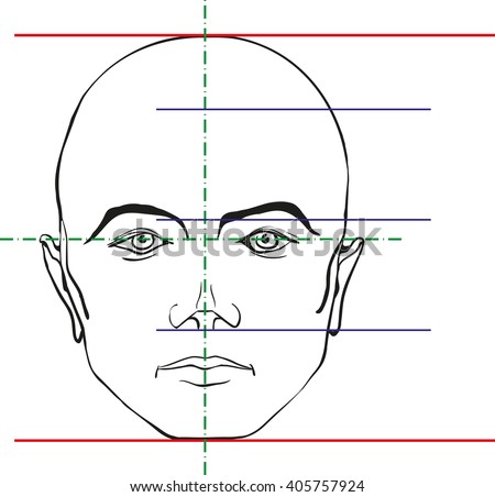 Male Face Proportions Scheme Vector Illustration Stock Vector 405757924 ...