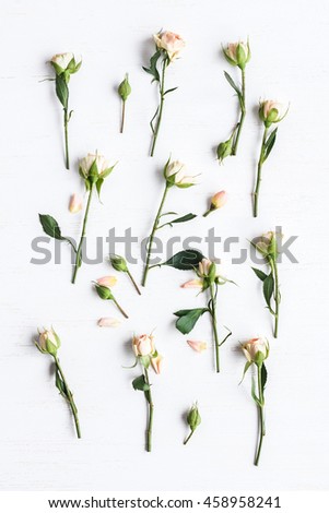 Pattern of rose flowers. Flat lay, top view