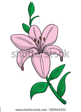 Cartoon Style Pink Lily Flower Stock Vector 580466401 - Shutterstock