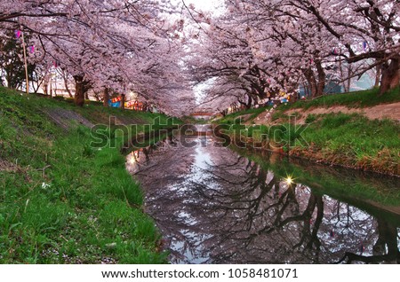 画像ページを表示します 画像