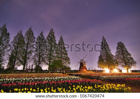 画像ページを表示します 画像