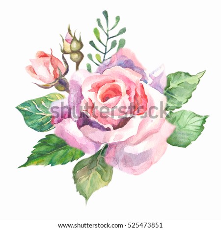 Rosebush Pattern Pink Rose Wedding Drawings Stock Illustration ...