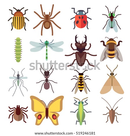 Set Insects Flat Style Design Icons Stock Vector 319788404 - Shutterstock