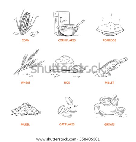 Doodle cereals groats, porridge, muesli, cornflakes, oat and rye, wheat and barley, millet or buckwheat, rice, corn vector. Set of cereals sketch. Vector illustration.