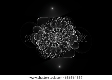 Black and white art abstract fractal background flower may be used for web design Black and white art abstract fractal background flower may be used for web design