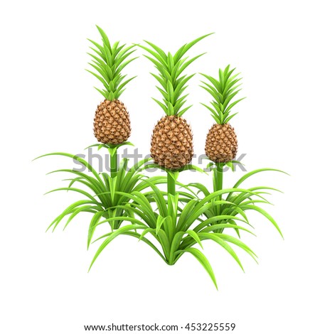 Whole Pineapple Plant Stem Green Leaves Stock Illustration ...