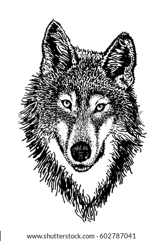 Wolf Silhouette Stock Images, Royalty-Free Images & Vectors | Shutterstock