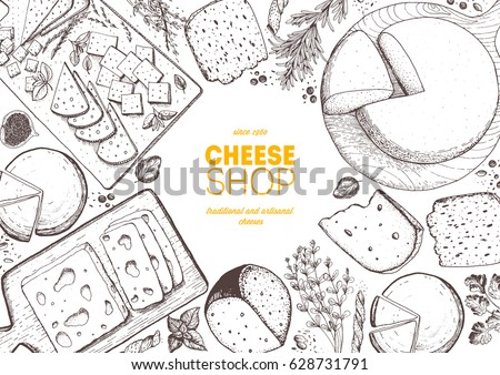 Cheese top view frame. Vector illustration with a collection of cheese. Engraved style image. Dairy farm products cheese.