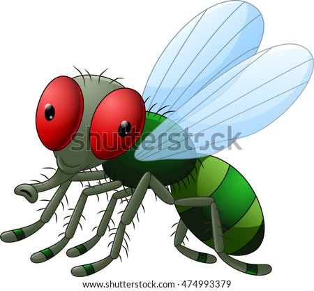 Cartoon Housefly Stock Images, Royalty-Free Images & Vectors | Shutterstock