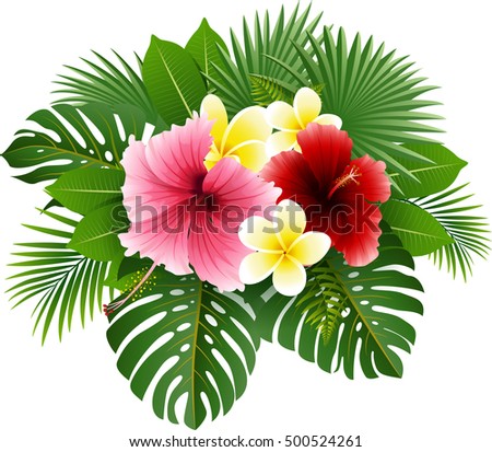 Bouquet Hibiscus Flowers Pink Petals Tropical Stock Vector 416869831 ...