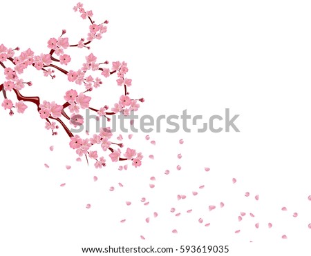 Branches with pink flowers and cherry buds. Sakura. Petals flying in the wind. isolated on white background. vector illustration