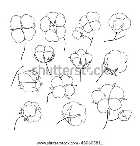 Vector Seamless Natural Cotton Engraving Pattern Stock Vector 304480433