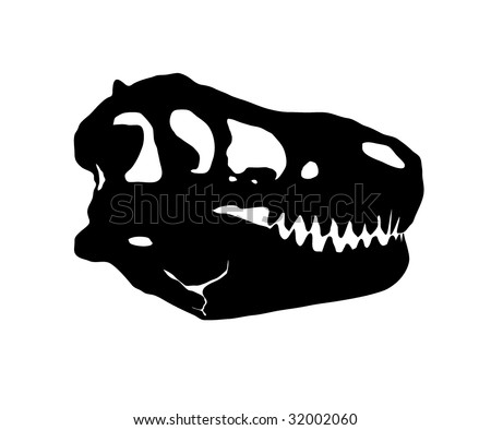 Dinosaur Skull Stock Photos, Images, & Pictures | Shutterstock