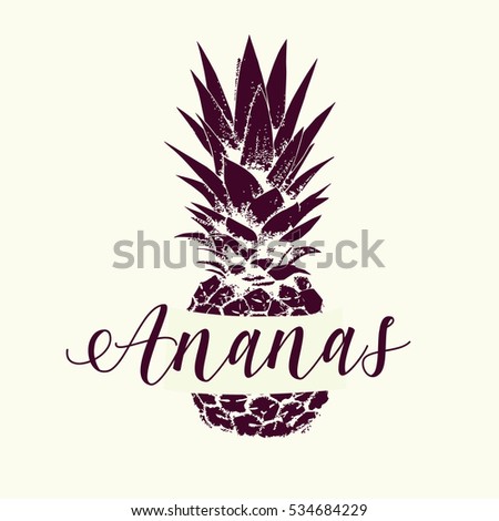 logo of pineapple fruit. Vector hintage illustration.