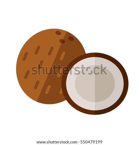 Coconut drupe with half section vector illustration. Superfood cocoanut icon. Healthy detox natural product. Flat design organic food.