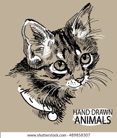 Download Cat Head Freehand Drawing Vintage Style Stock Vector ...