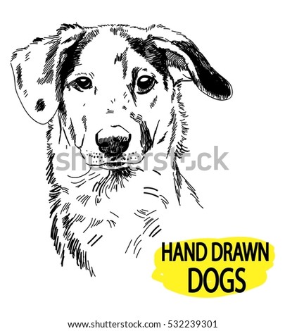 Spotted Dog Drawing By Hand Pen Stock Vector 532239301 - Shutterstock