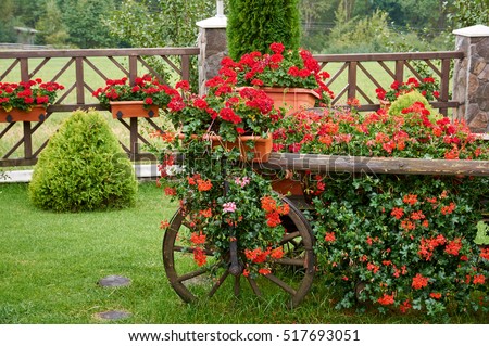 Flower Bed In The Cart Flower Bed In The Cart