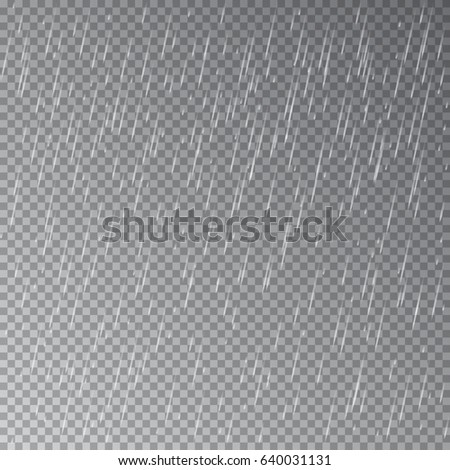 Rain isolated on transparent background. Vector.
