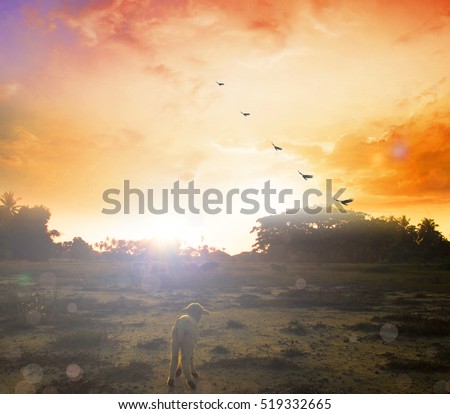 Synergy Blue Valley >> Peace On Earth Christmas Stock Photos, Royalty-Free Images & Vectors - Shutterstock Synergy Blue Valley >> Peace On Earth Christmas Stock Photos, Royalty-Free Images & Vectors - Shutterstock