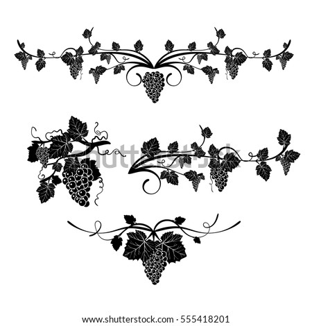 The elements of design with grapes and vine in vintage style. Vintage. vector.