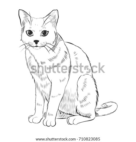 Sitting Cat Stock Vector 123511768 - Shutterstock