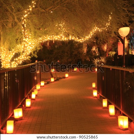 garden path night lit luminarias christmas stock photo garden path night lit luminarias christmas stock photo