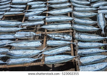 Blue dried fish background