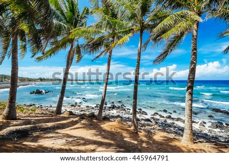 Coconut trees and beach at Phu Quy Island, Binh Thuan, Vietnam