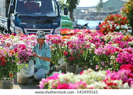 Sa Dec flower planting village, Dong Thap province, Vietnam - January 24, 2016: Local Farmer forearm flower pots for transportation to sell at another location, the days before Vietnamese Tet holiday