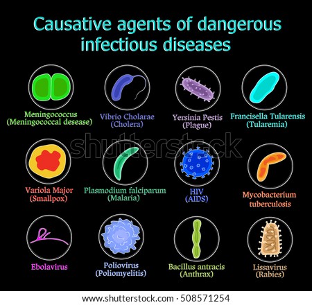 Causative Agents Dangerous Infectious Diseases On Stock Vector ...