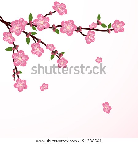 Cherry tree blossom with falling flower, illustration.