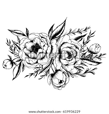 Peonies Stock Vectors, Images & Vector Art | Shutterstock