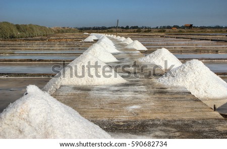 Salt pans on a saline exploration, Figueira da Foz, Portugal