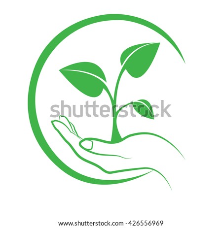 Hands Holding Plant Stock Images, Royalty-Free Images & Vectors ...