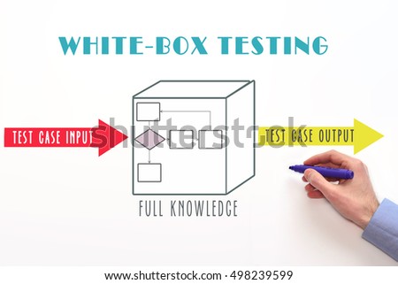 hot naked women in jail white box penetration testing