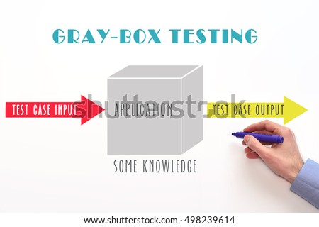 Image result for gray box penetration testing