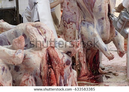 Slaughter house images Slaughter house images